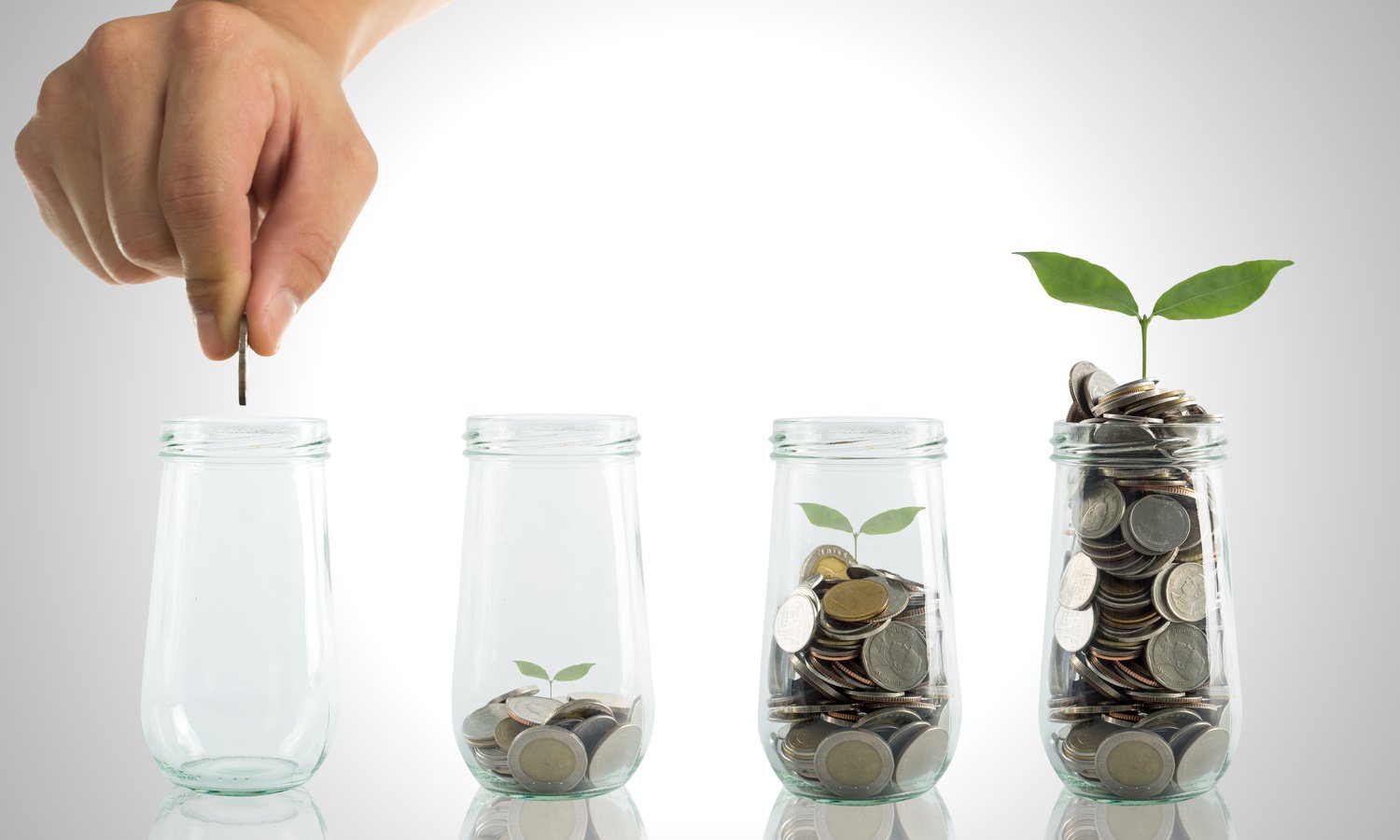 Investment your budget for growing your business